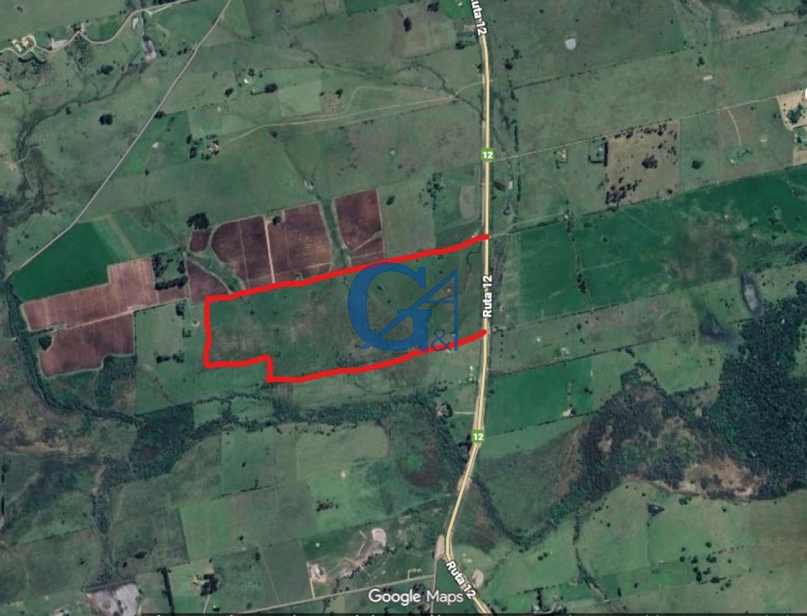 Chacra ID.15711 - Fracción de 43 Hás sobre Ruta 12