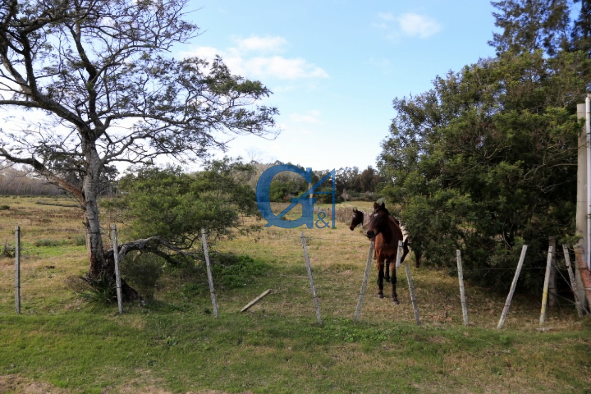 Chacra ID.2070 - 