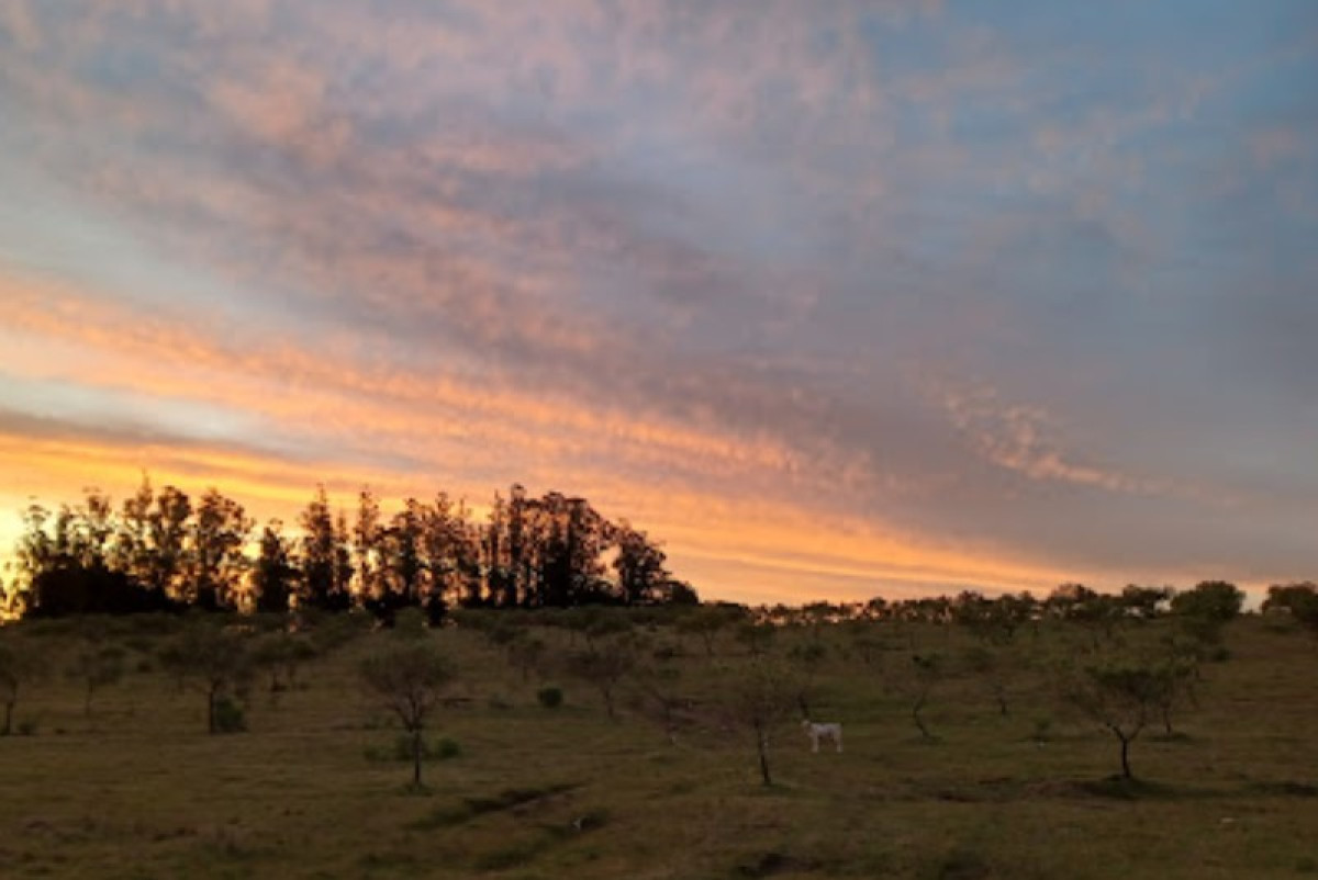 Chacra en Pueblo Eden