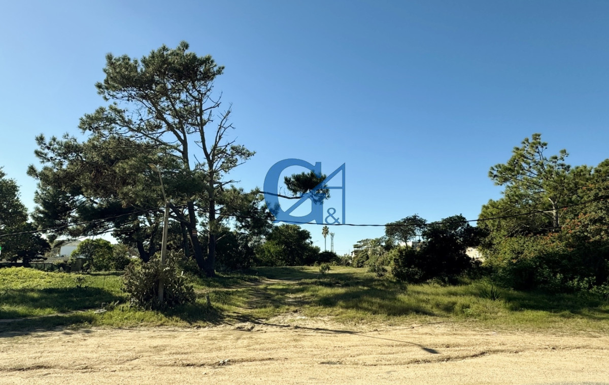 Terreno ID.15715 - Magnífico lote de 2.576 m2 en el corazón de La Barra