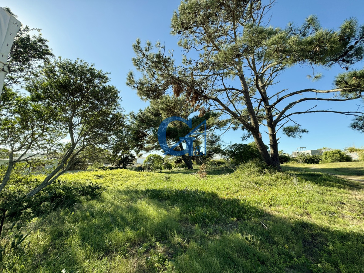 Terreno ID.15715 - Magnífico lote de 2.576 m2 en el corazón de La Barra