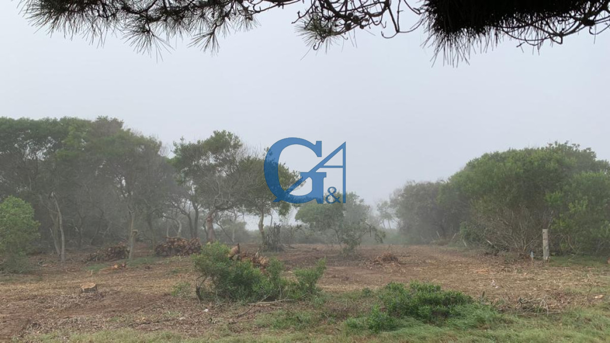 Terreno ID.2098 - Terreno en Rocha, Ciudad de Rocha