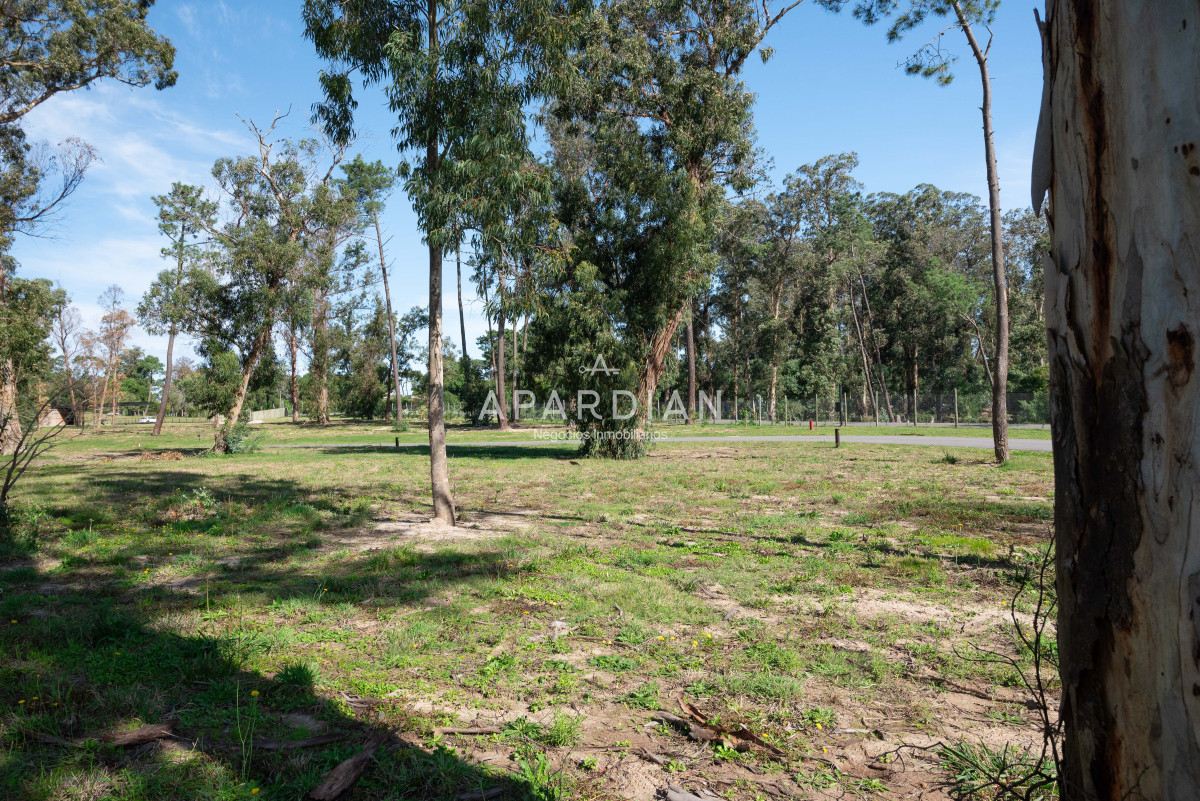 Terreno ID.21097732 - Venta lote barrio privado La Cañada