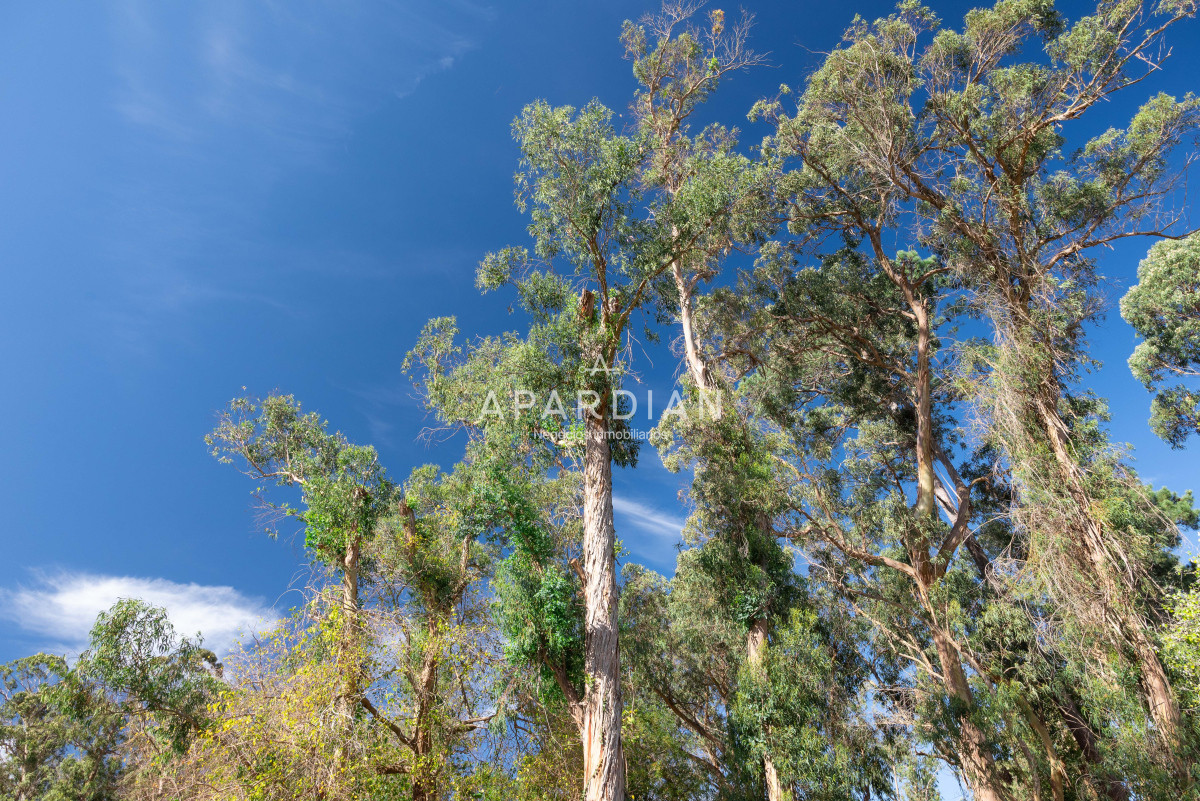 Terreno ID.21097732 - Venta lote barrio privado La Cañada