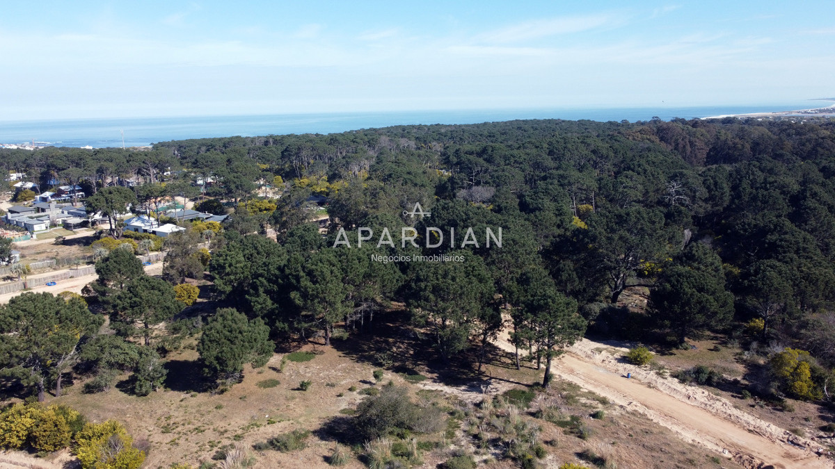 Terreno ID.21097729 - RE-VENTA Terreno listo para construir en José Ignacio  Barrio Playa Brava