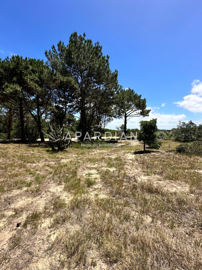 Terreno ID.21097729 - RE-VENTA Terreno listo para construir en José Ignacio  Barrio Playa Brava