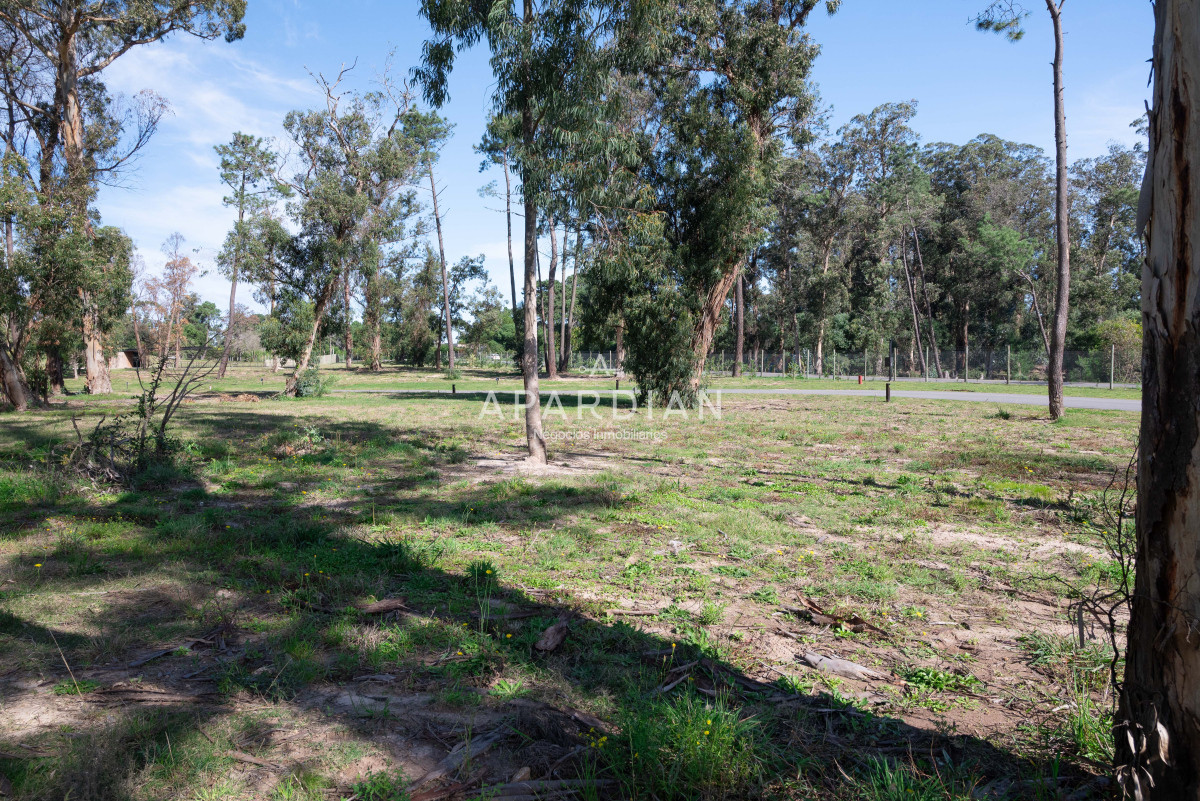 Terreno ID.21097732 - Venta lote barrio privado La Cañada