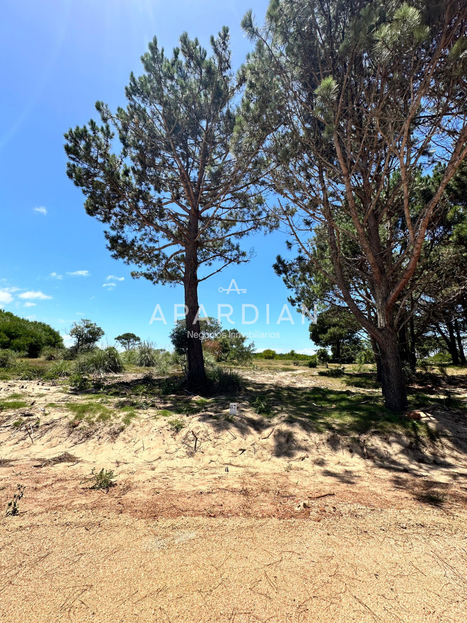 Terreno ID.21097729 - RE-VENTA Terreno listo para construir en José Ignacio  Barrio Playa Brava
