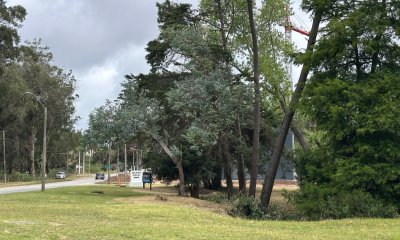 Terreno en Pedragosa Sierra.