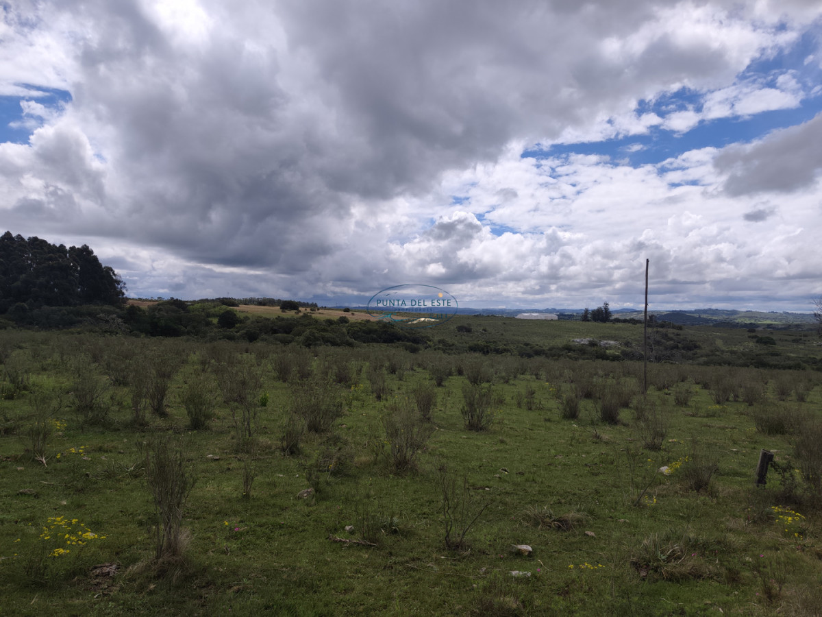 Chacra ID.159 - Venta chacras 3 hectáreas. Pueblo Eden, Maldonado. 