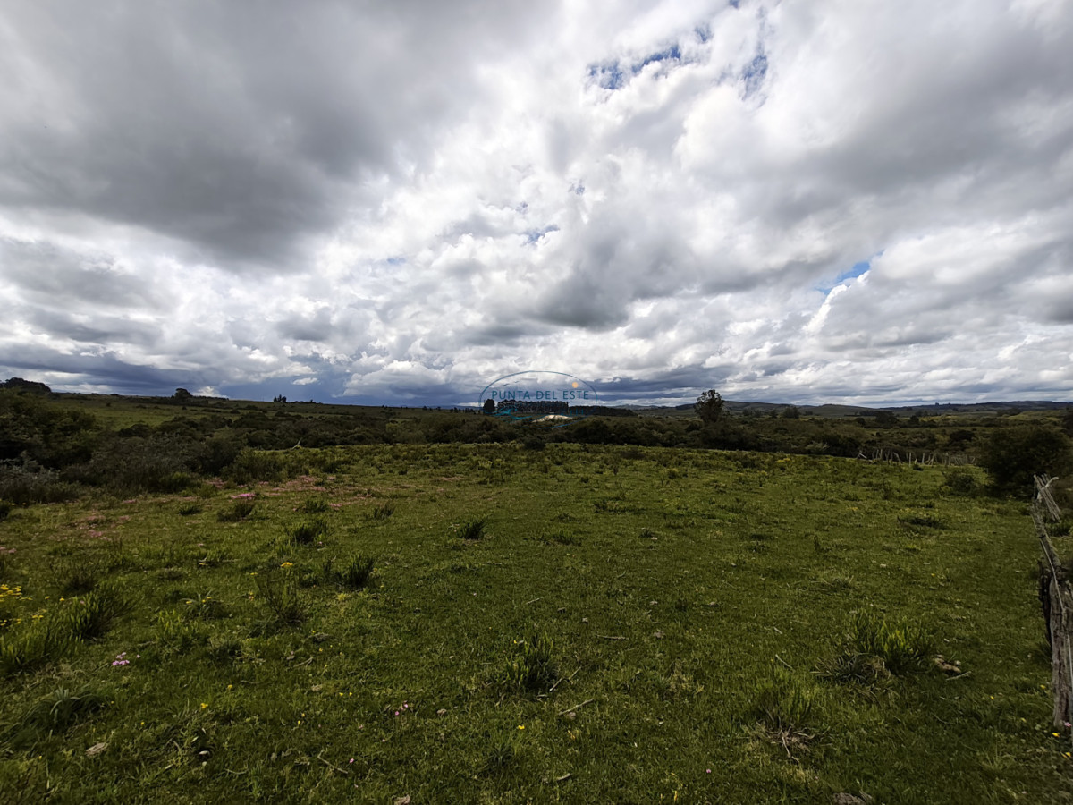 Chacra ID.170 - Venta chacra 5 hectáreas Pueblo Edén. Maldonado. 