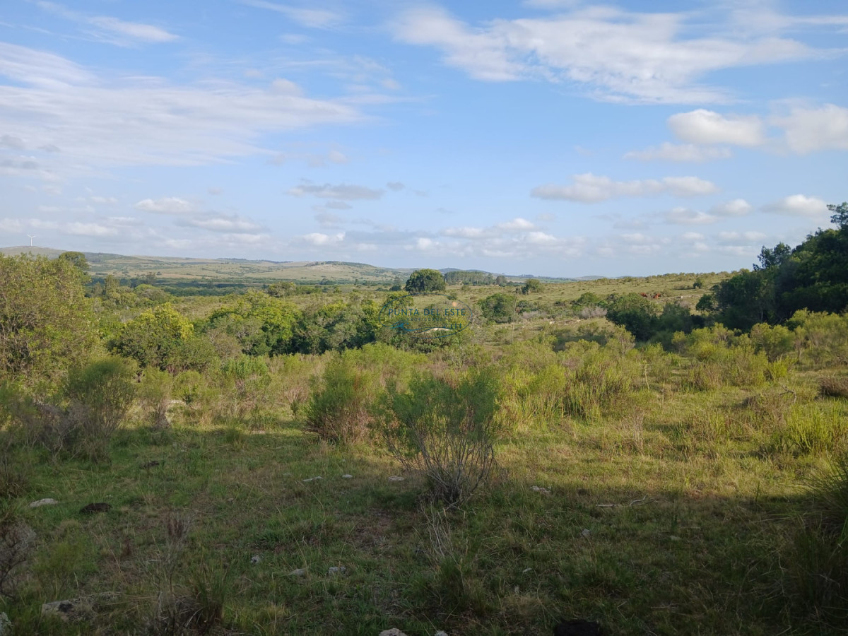 Chacra ID.89 - Venta campó 30 hectáreas. Pueblo Edén, Maldonado. 