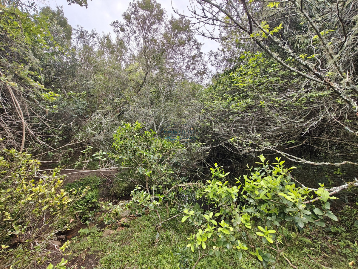Chacra ID.159 - Venta chacras 3 hectáreas. Pueblo Eden, Maldonado. 