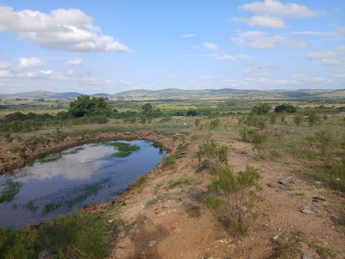 Chacra ID.89 - Venta campó 30 hectáreas. Pueblo Edén, Maldonado. 