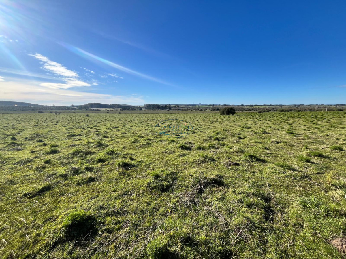 Chacra ID.74 - Chacra de 3 has en venta en Camino de Los Ceibos, San Carlos