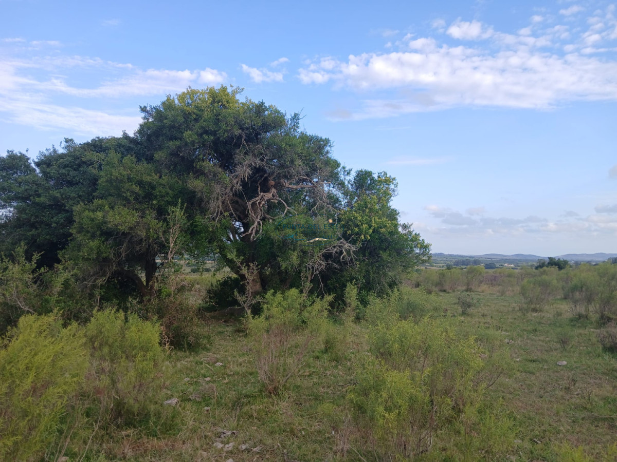 Chacra ID.89 - Venta campó 30 hectáreas. Pueblo Edén, Maldonado. 