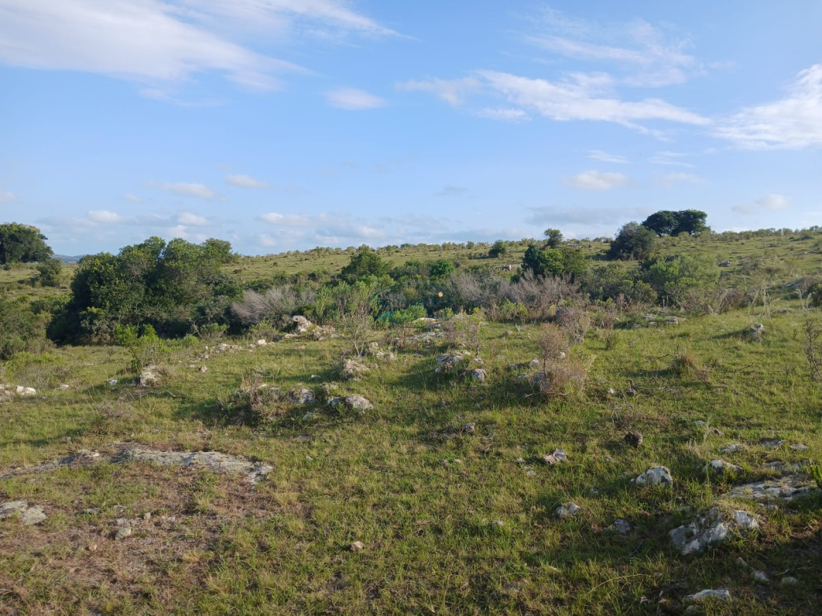 Chacra ID.89 - Venta campó 30 hectáreas. Pueblo Edén, Maldonado. 