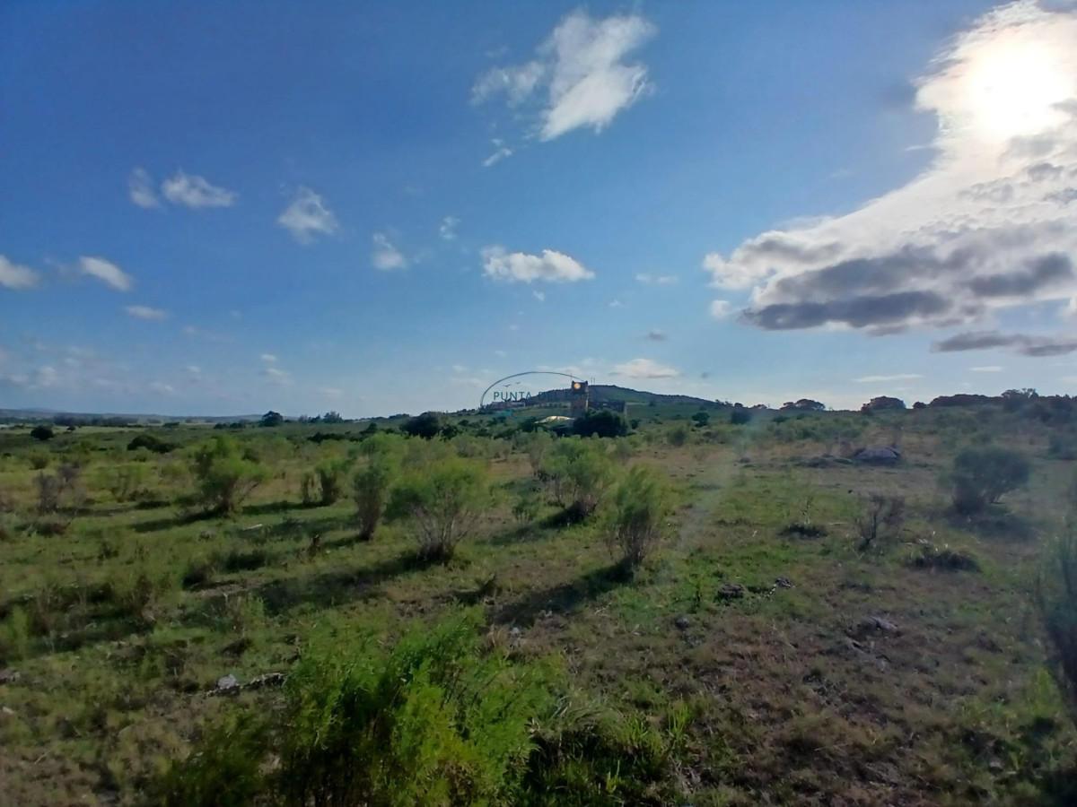 Chacra ID.89 - Venta campó 30 hectáreas. Pueblo Edén, Maldonado. 