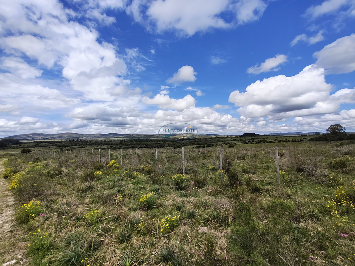 Chacra ID.159 - Venta chacras 3 hectáreas. Pueblo Eden, Maldonado. 
