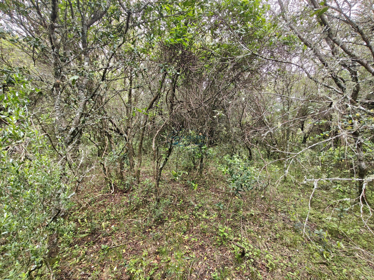 Chacra ID.159 - Venta chacras 3 hectáreas. Pueblo Eden, Maldonado. 