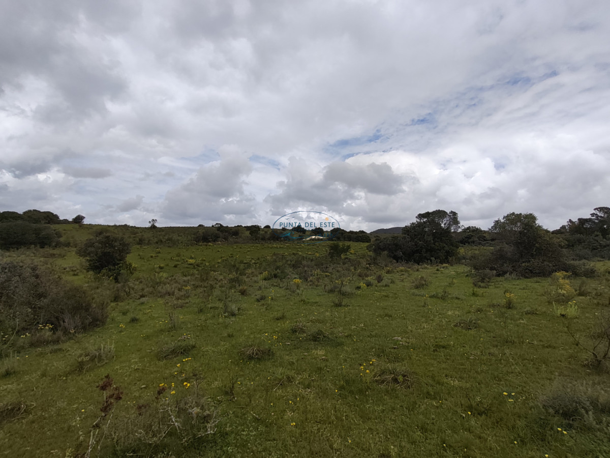 Chacra ID.159 - Venta chacras 3 hectáreas. Pueblo Eden, Maldonado. 