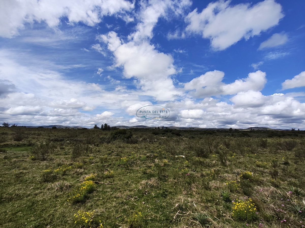 Chacra ID.159 - Venta chacras 3 hectáreas. Pueblo Eden, Maldonado. 