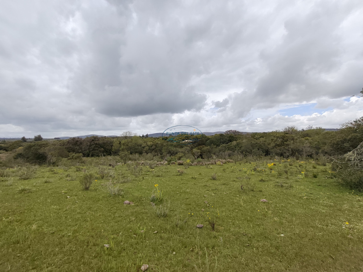 Chacra ID.159 - Venta chacras 3 hectáreas. Pueblo Eden, Maldonado. 
