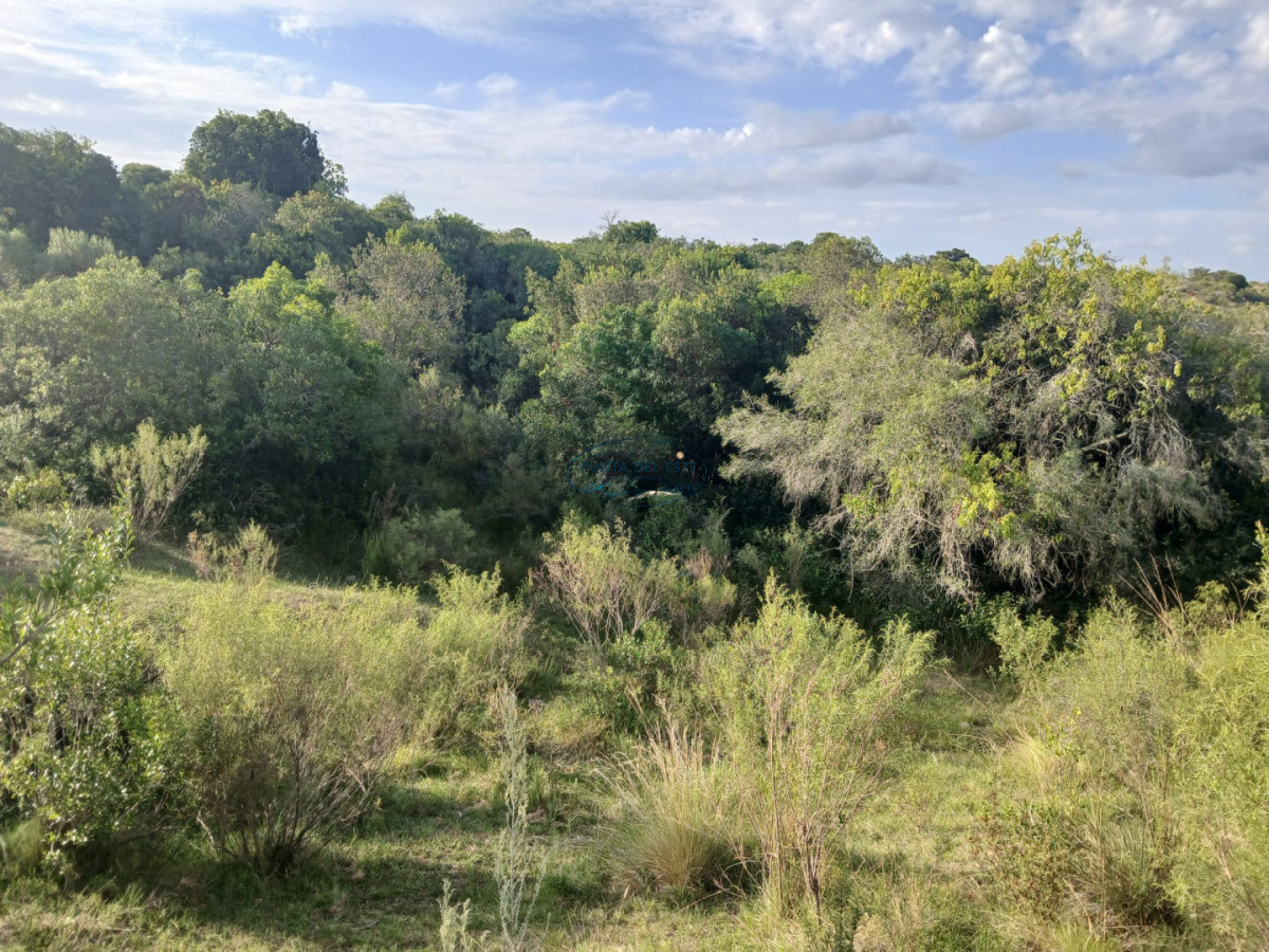 Chacra ID.89 - Venta campó 30 hectáreas. Pueblo Edén, Maldonado. 