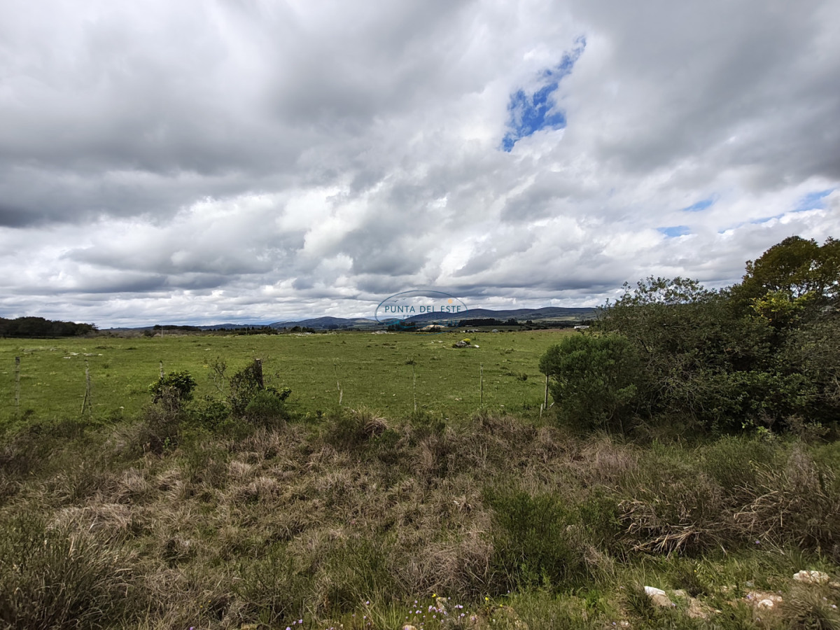 Chacra ID.170 - Venta chacra 5 hectáreas Pueblo Edén. Maldonado. 
