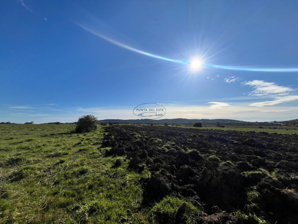 Chacra ID.74 - Chacra de 3 has en venta en Camino de Los Ceibos, San Carlos