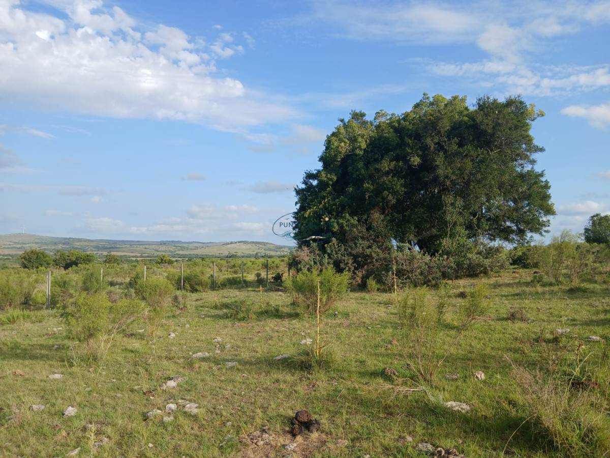 Chacra ID.89 - Venta campó 30 hectáreas. Pueblo Edén, Maldonado. 