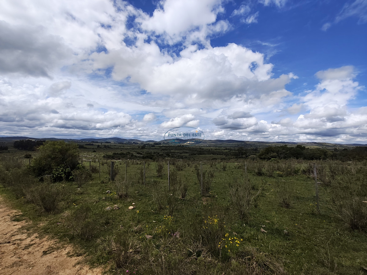 Chacra ID.159 - Venta chacras 3 hectáreas. Pueblo Eden, Maldonado. 