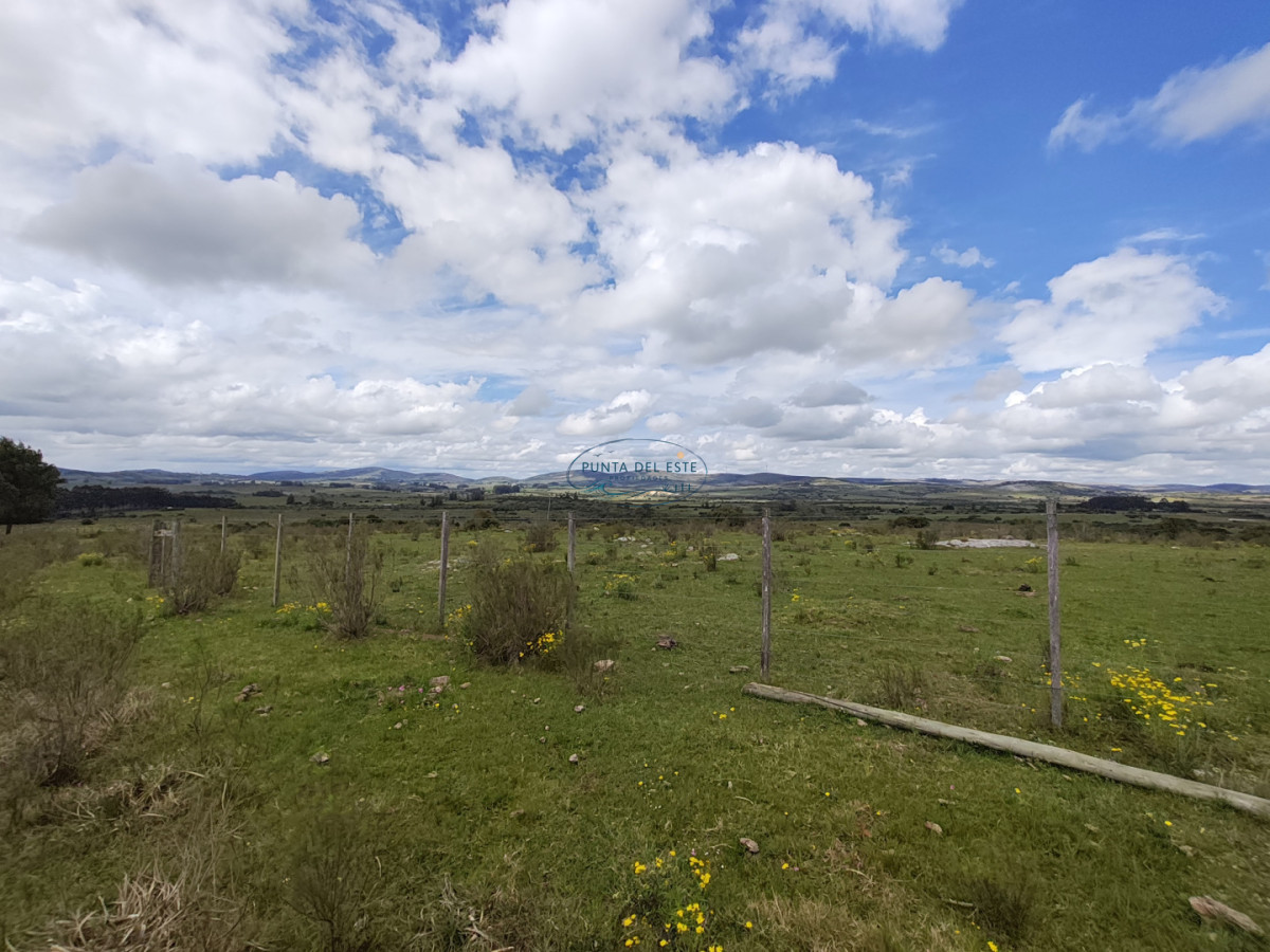 Chacra ID.159 - Venta chacras 3 hectáreas. Pueblo Eden, Maldonado. 