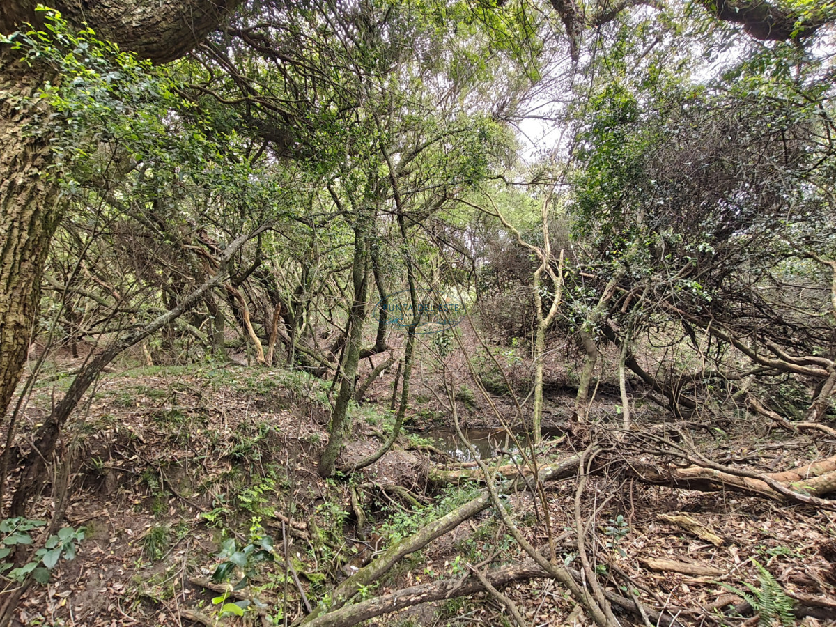 Chacra ID.159 - Venta chacras 3 hectáreas. Pueblo Eden, Maldonado. 