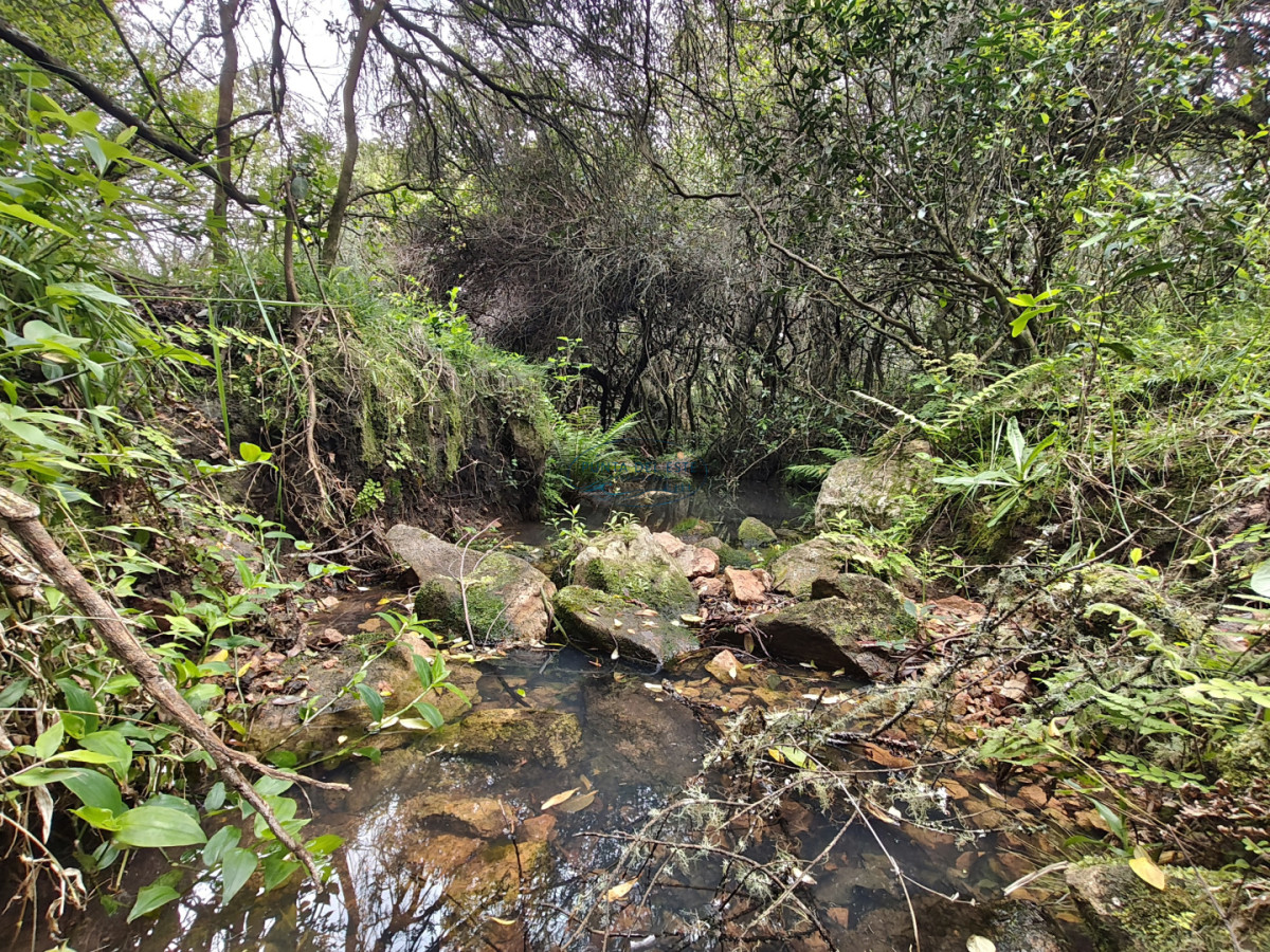 Chacra ID.159 - Venta chacras 3 hectáreas. Pueblo Eden, Maldonado. 