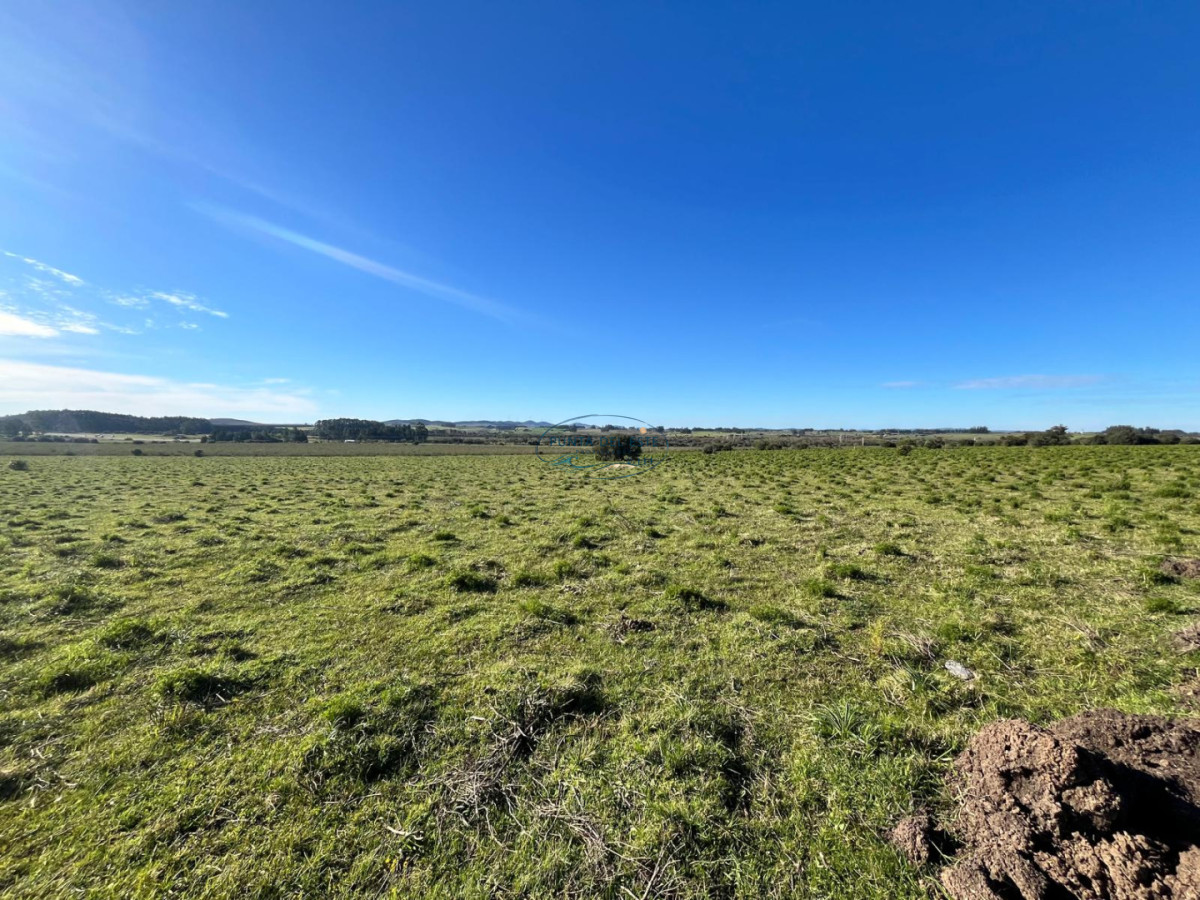 Chacra ID.74 - Chacra de 3 has en venta en Camino de Los Ceibos, San Carlos