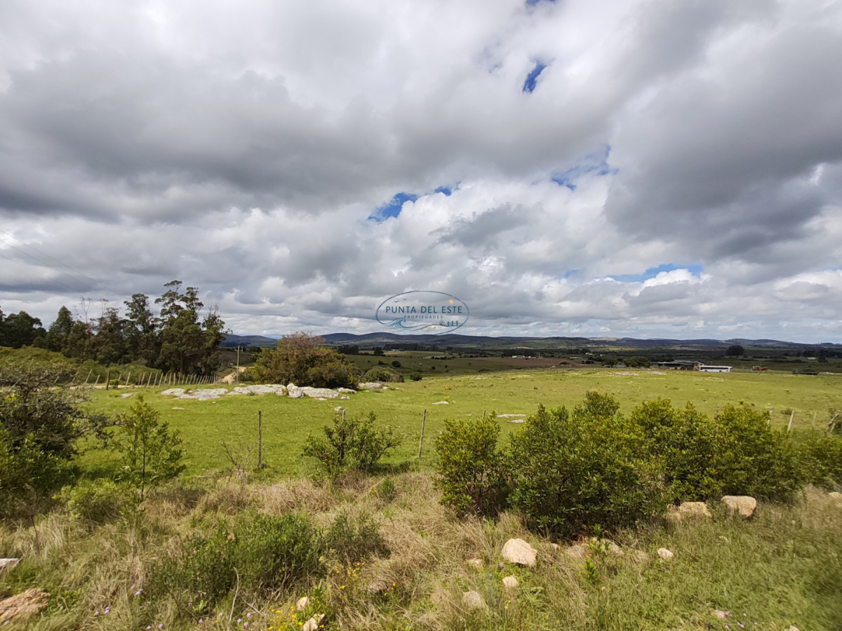 Chacra ID.170 - Venta chacra 5 hectáreas Pueblo Edén. Maldonado. 