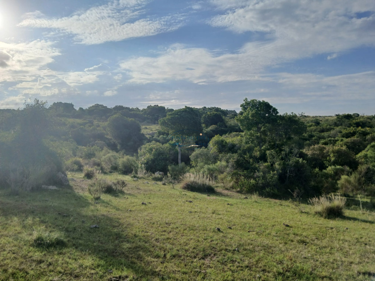 Chacra ID.89 - Venta campó 30 hectáreas. Pueblo Edén, Maldonado. 
