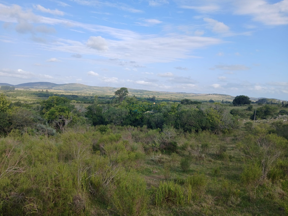Chacra ID.89 - Venta campó 30 hectáreas. Pueblo Edén, Maldonado. 