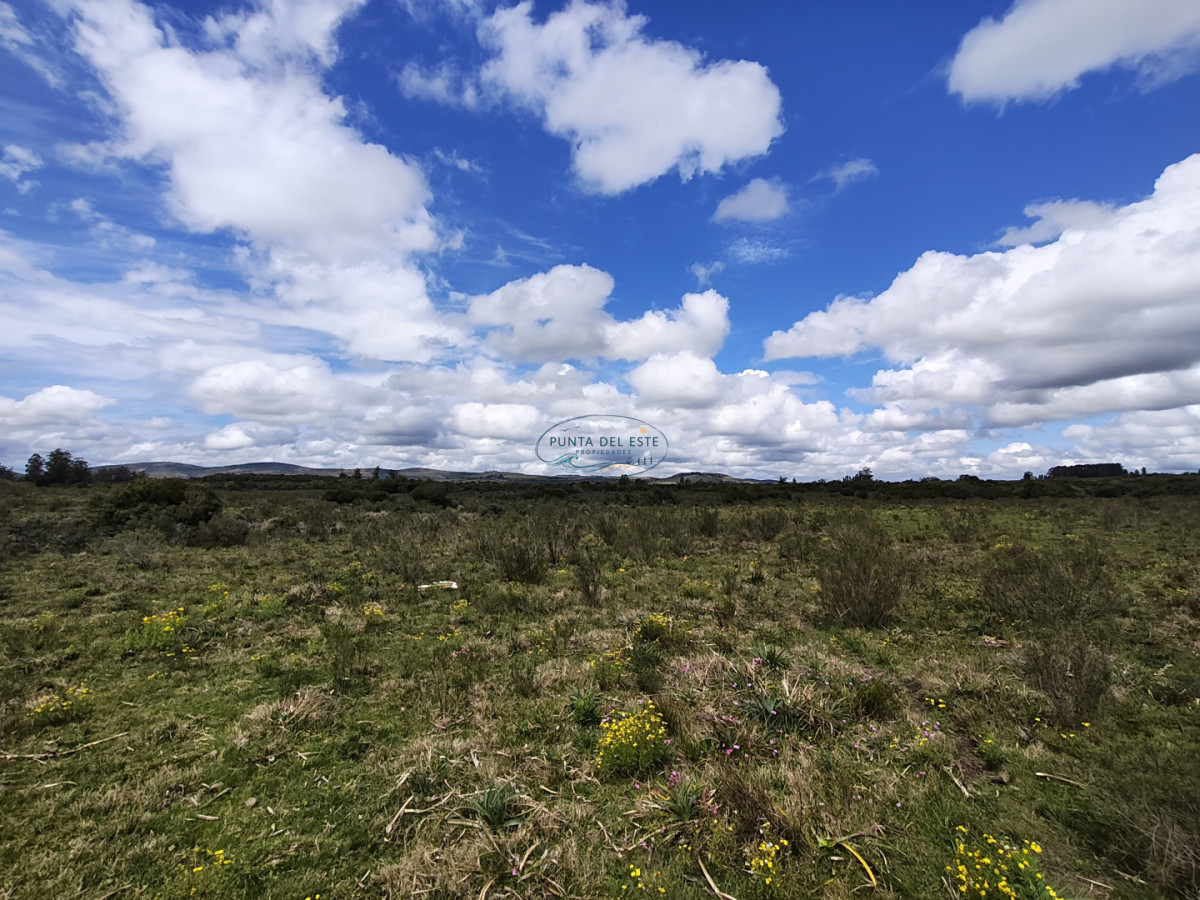 Chacra ID.159 - Venta chacras 3 hectáreas. Pueblo Eden, Maldonado. 