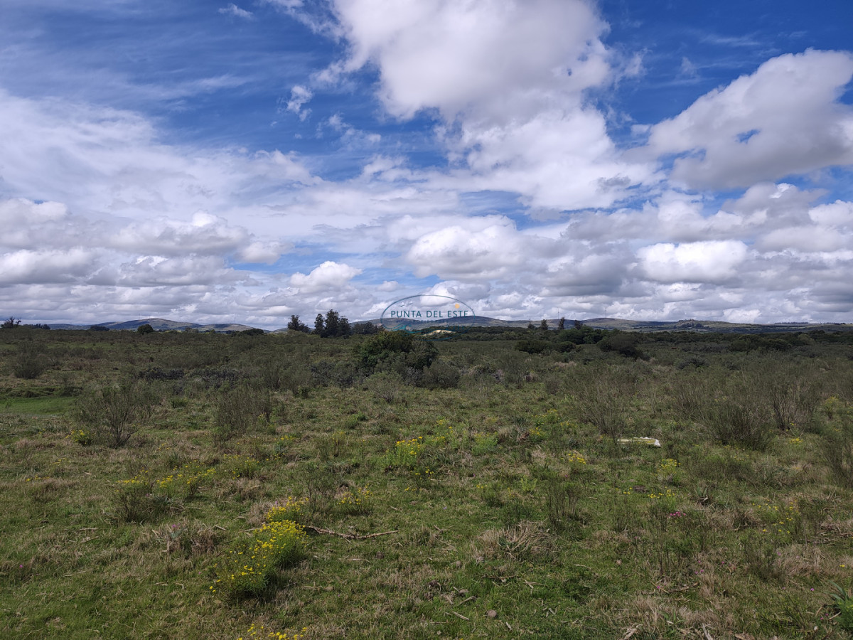 Chacra ID.159 - Venta chacras 3 hectáreas. Pueblo Eden, Maldonado. 
