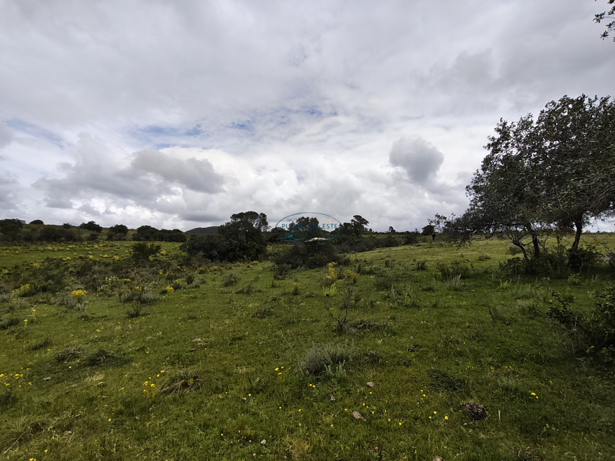 Chacra ID.159 - Venta chacras 3 hectáreas. Pueblo Eden, Maldonado. 