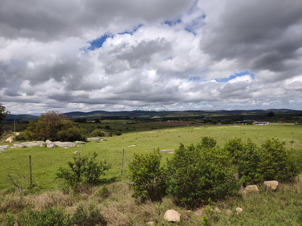 Chacra ID.170 - Venta chacra 5 hectáreas Pueblo Edén. Maldonado. 