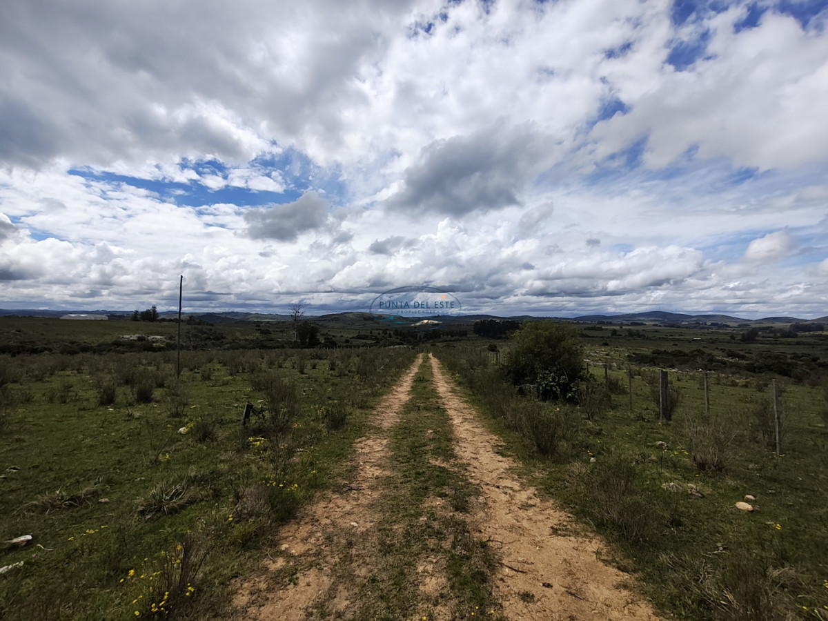 Chacra ID.159 - Venta chacras 3 hectáreas. Pueblo Eden, Maldonado. 
