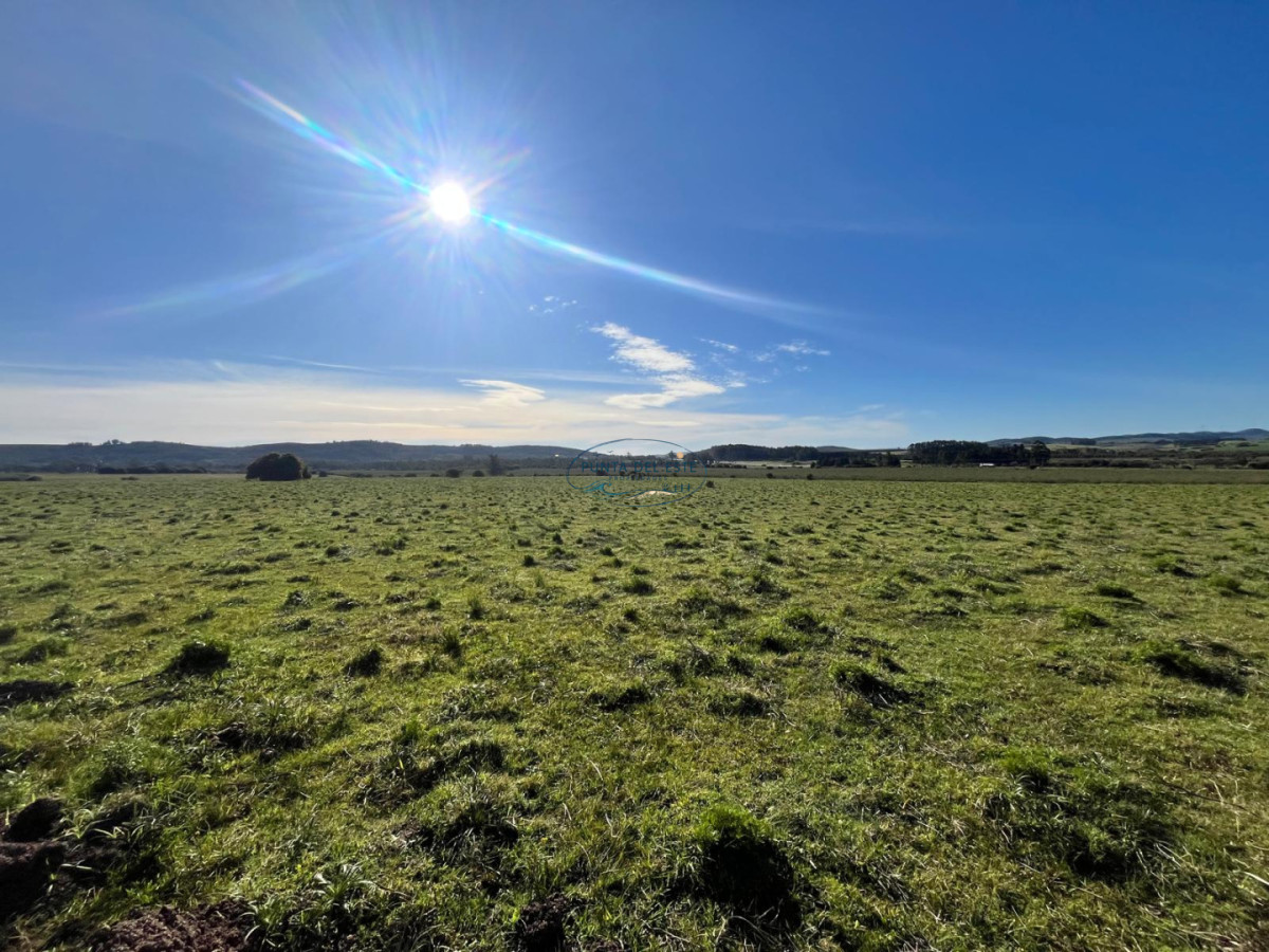 Chacra ID.74 - Chacra de 3 has en venta en Camino de Los Ceibos, San Carlos