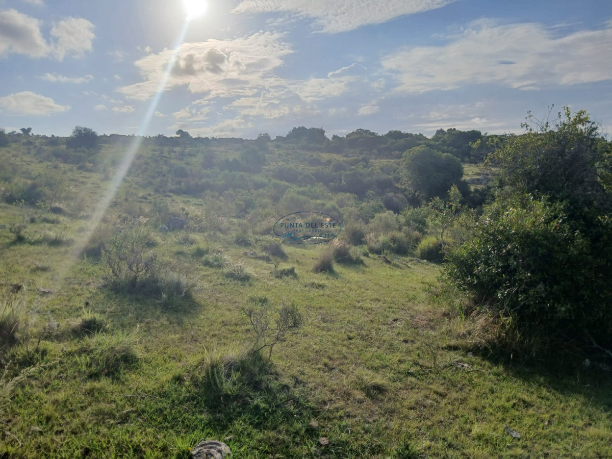 Chacra ID.89 - Venta campó 30 hectáreas. Pueblo Edén, Maldonado. 