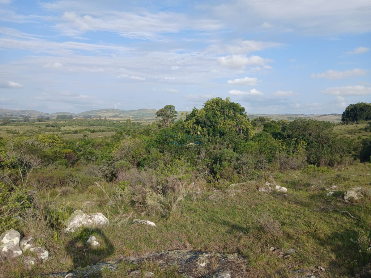 Chacra ID.89 - Venta campó 30 hectáreas. Pueblo Edén, Maldonado. 