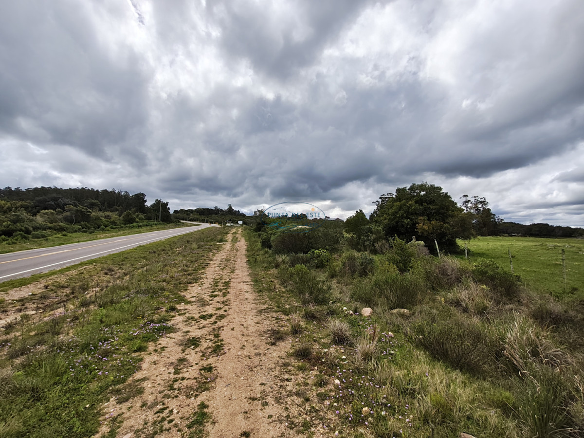 Chacra ID.170 - Venta chacra 5 hectáreas Pueblo Edén. Maldonado. 