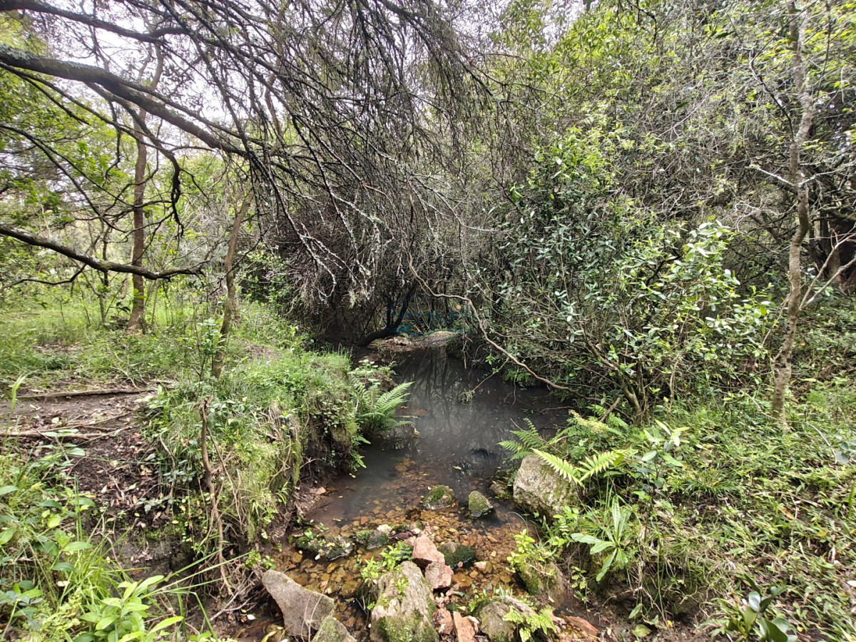 Chacra ID.159 - Venta chacras 3 hectáreas. Pueblo Eden, Maldonado. 