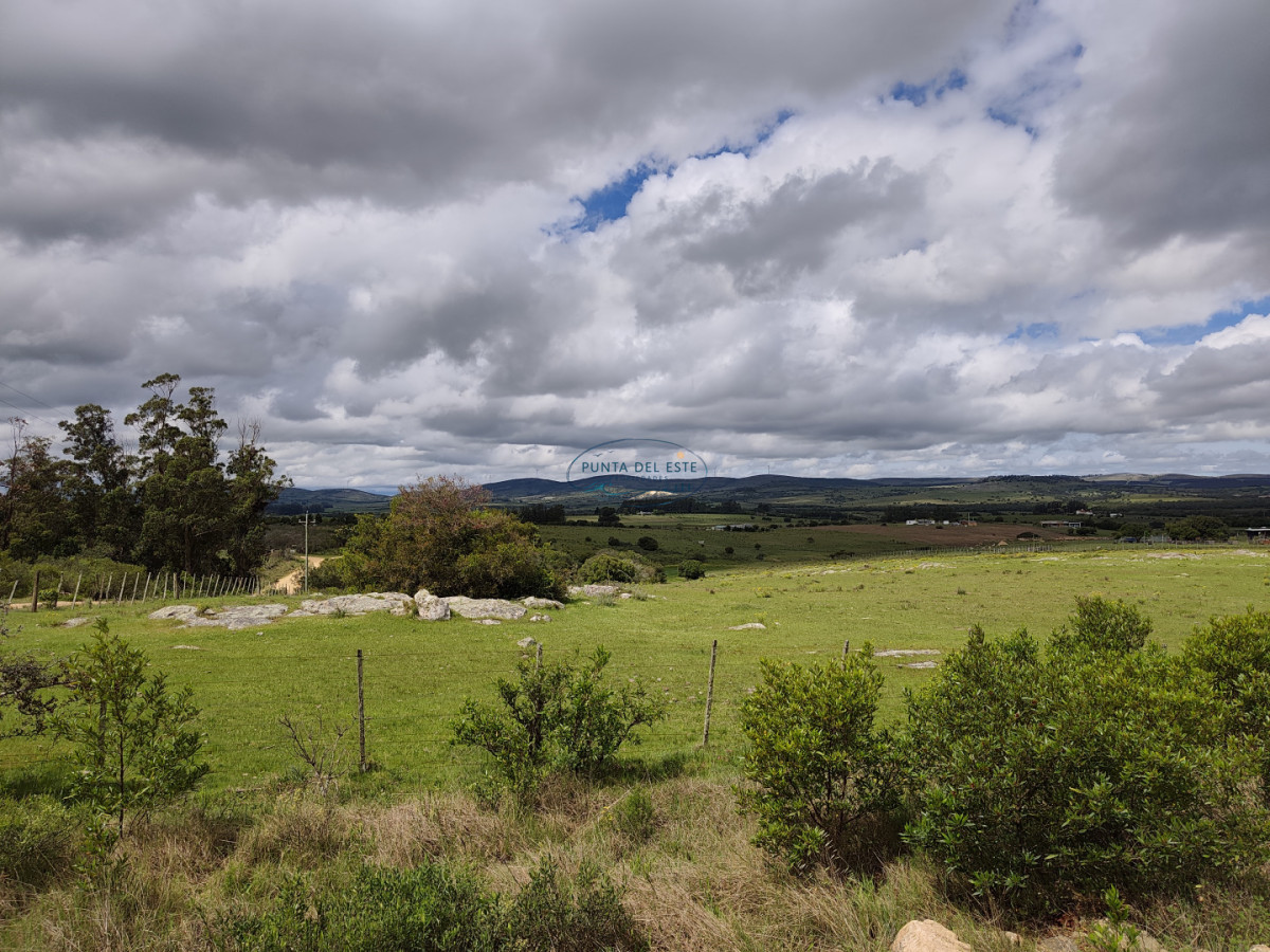 Chacra ID.170 - Venta chacra 5 hectáreas Pueblo Edén. Maldonado. 